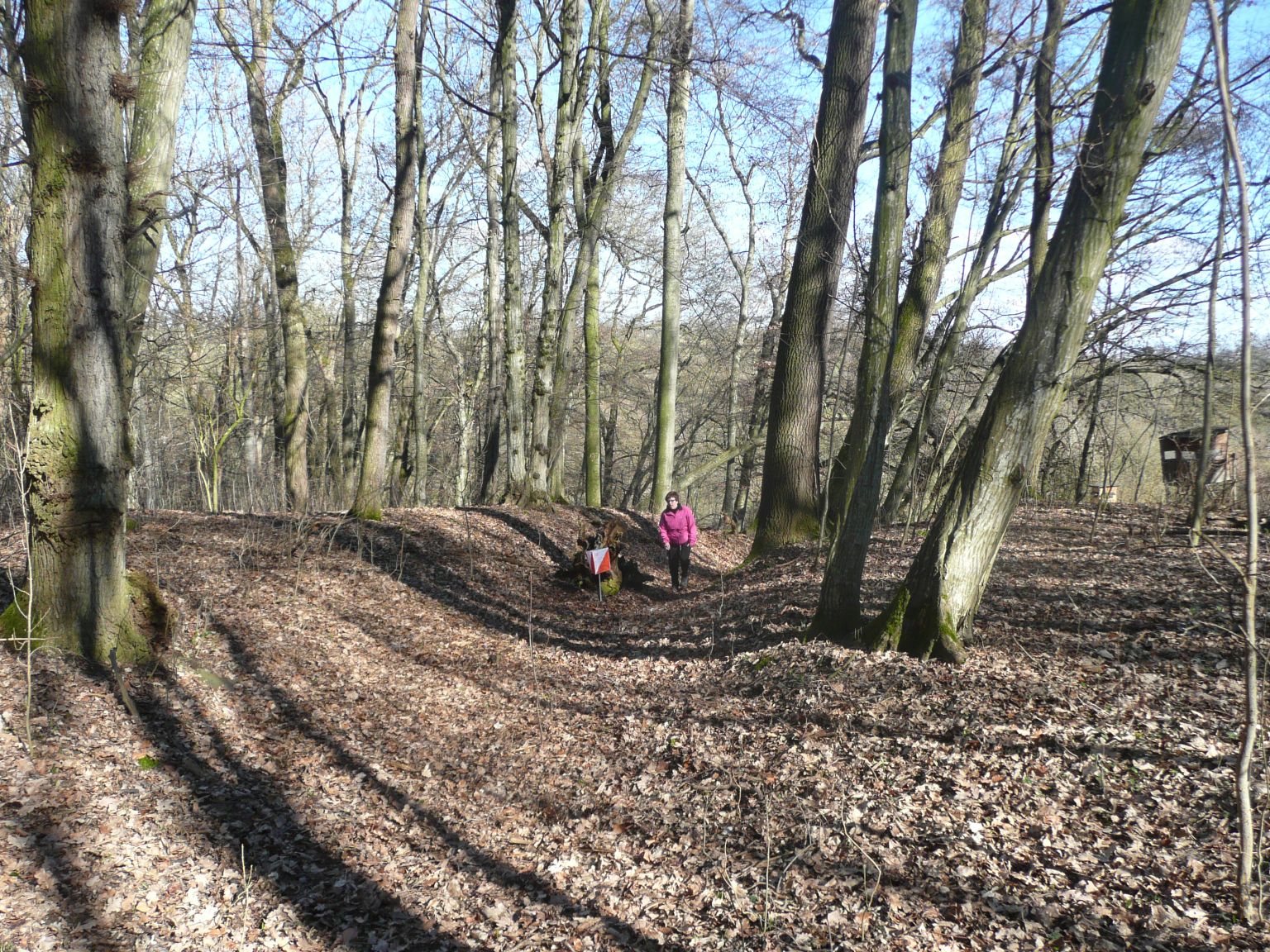 endlich oben an der Wurzel.jpg